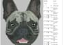 do custom embroidery digitizing to dst, pes, emb in 1 hour